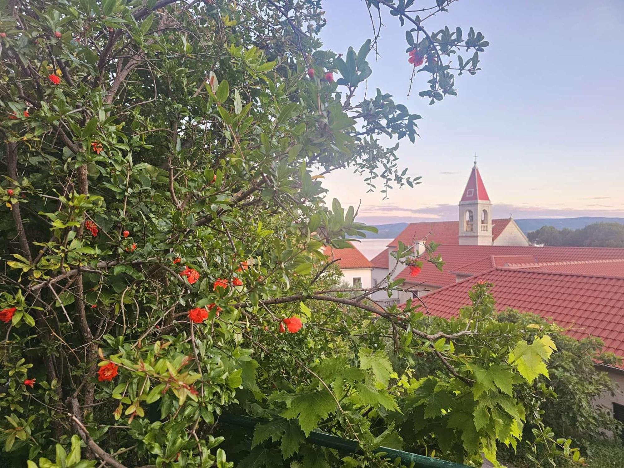 Apartament Leonica Omiš Zewnętrze zdjęcie